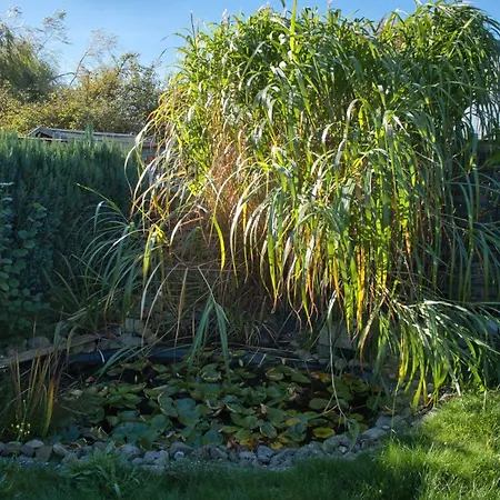 בית נופש Haffblick *