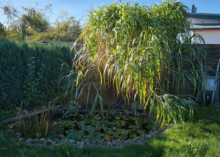 בית נופש Haffblick *